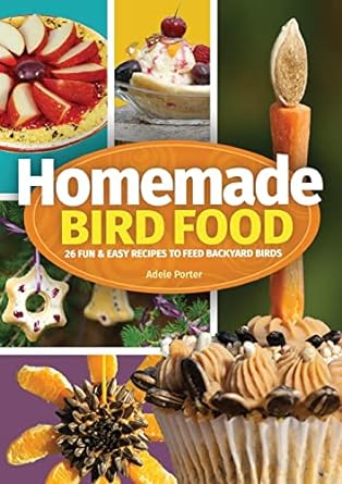 Homemade Bird Food