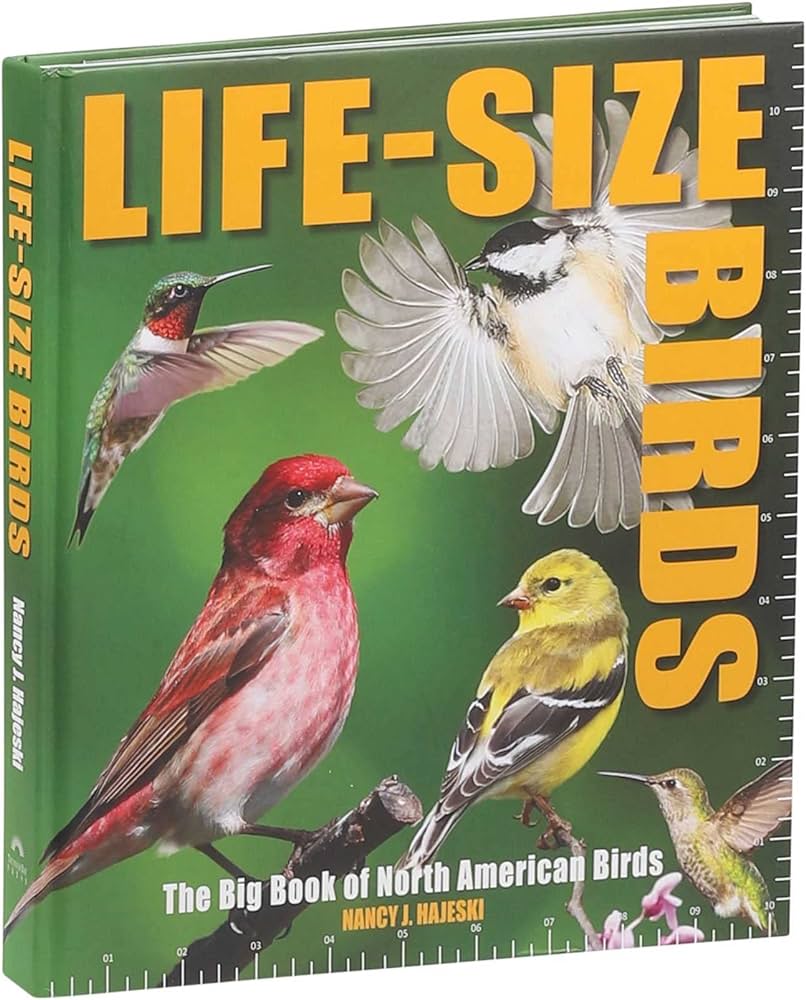 Life-Size Birds