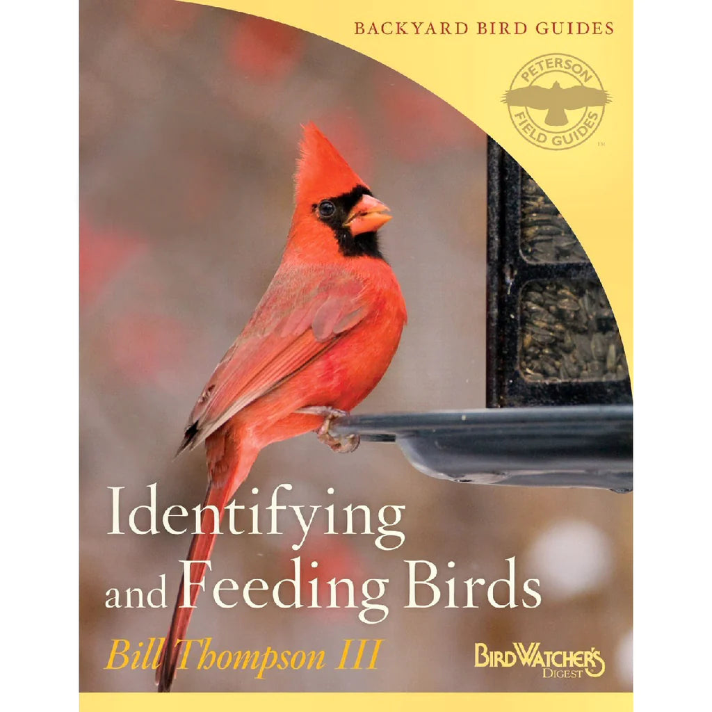 Identifying and Feeding Birds