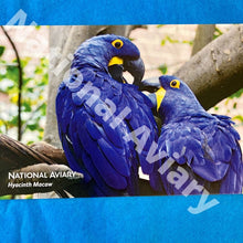 Load image into Gallery viewer, National Aviary Postcards
