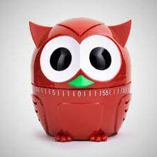 Load image into Gallery viewer, Owlet Kitchen Timer
