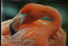 Load image into Gallery viewer, National Aviary Picture Magnet
