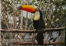 Load image into Gallery viewer, National Aviary Picture Magnet
