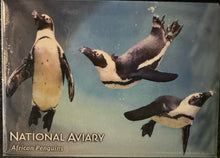 Load image into Gallery viewer, National Aviary Picture Magnet
