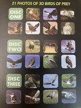 Load image into Gallery viewer, LED Backlit 3D Viewer - Birds of Prey
